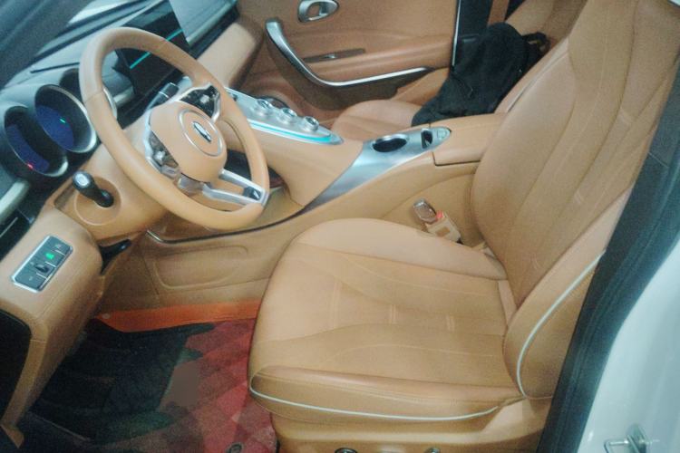 Used ORA Lightning Cat 2022 555 km Luxury Edition Left Front Seat