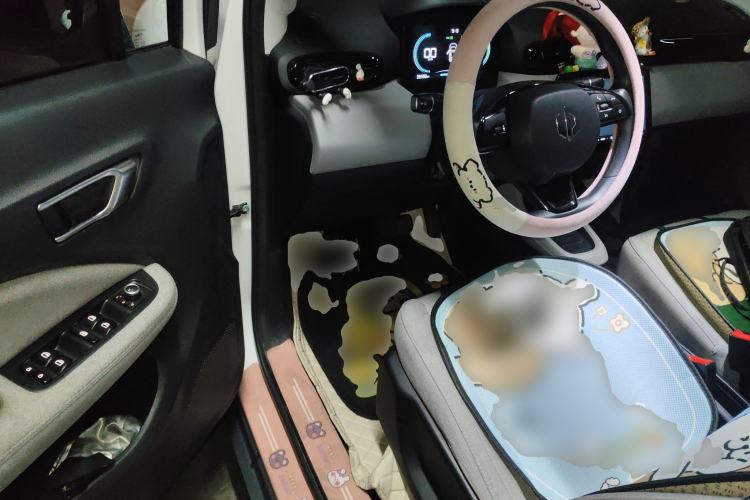 Used Leapmotor T03 2022 Crystal Edition Driver Seat