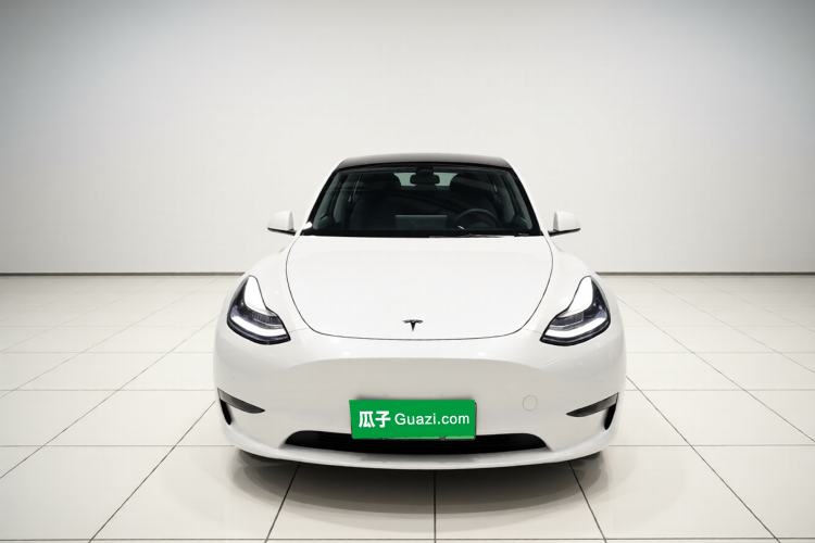 Used Tesla Model Y 2022 Revised Version Long-Range All-Wheel Drive
