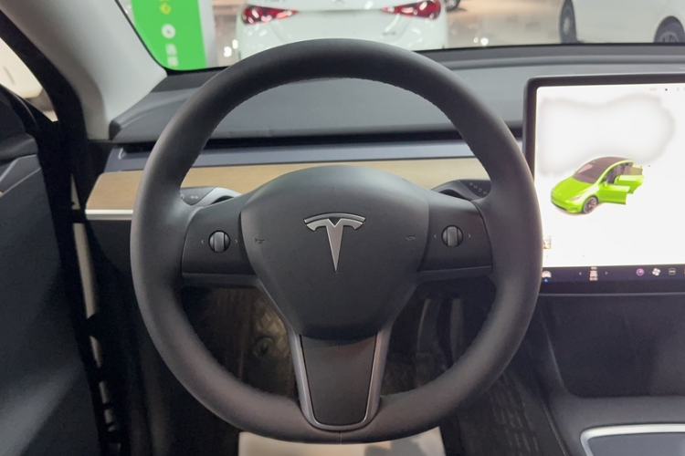 Used Tesla Model Y 2021 Standard Range Rear-Wheel Drive Version
