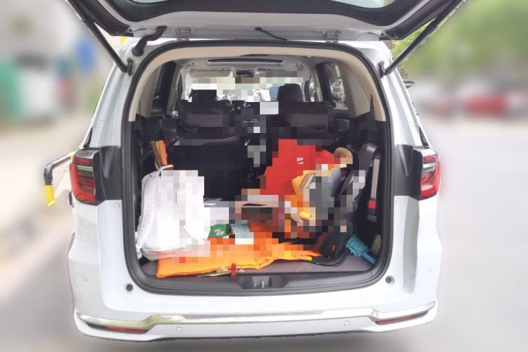 Used Honda Elysion 2024 2.0L eHEV Luxury Edition
