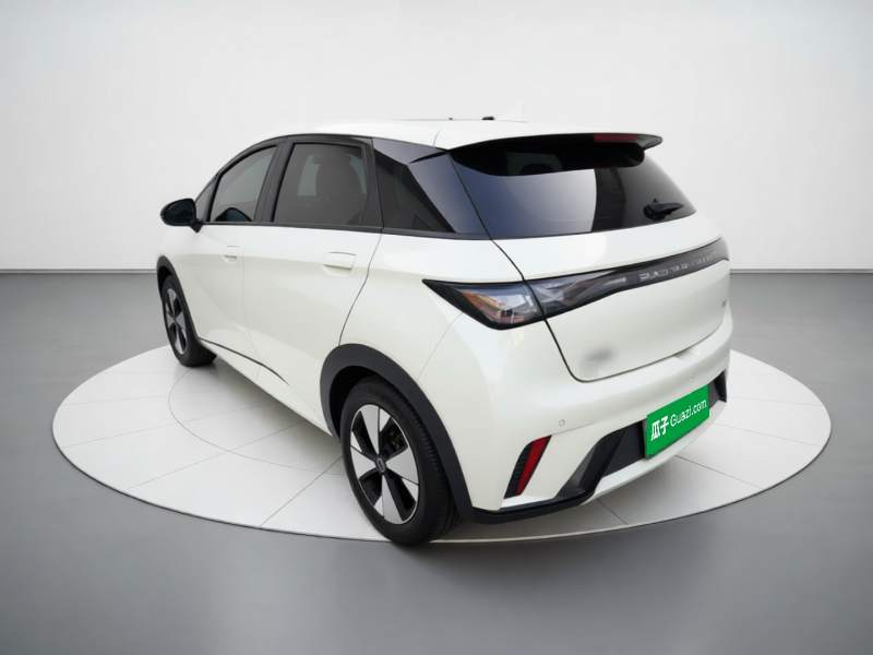 Used BYD Dolphin 2023 420 km Fashion Edition — 4