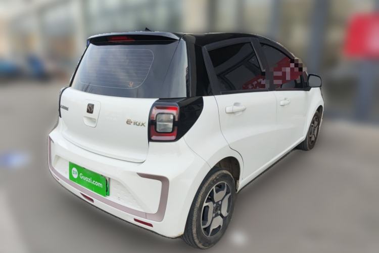 Used SOL E10X 2022 Flower Fairy Style Baby's Breath