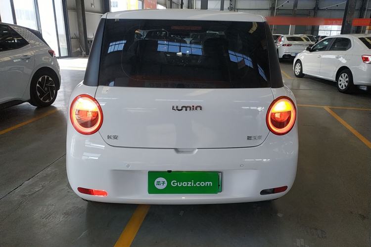Used Qiyuan Lumin 2025 205 km Xiangqin Version
