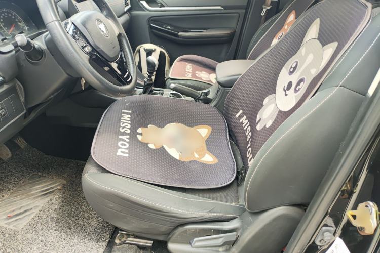 Used Foton Tunland 2019 2.0T E7 Manual Two-Wheel Drive City Edition Mid-Range 4G20TI4
