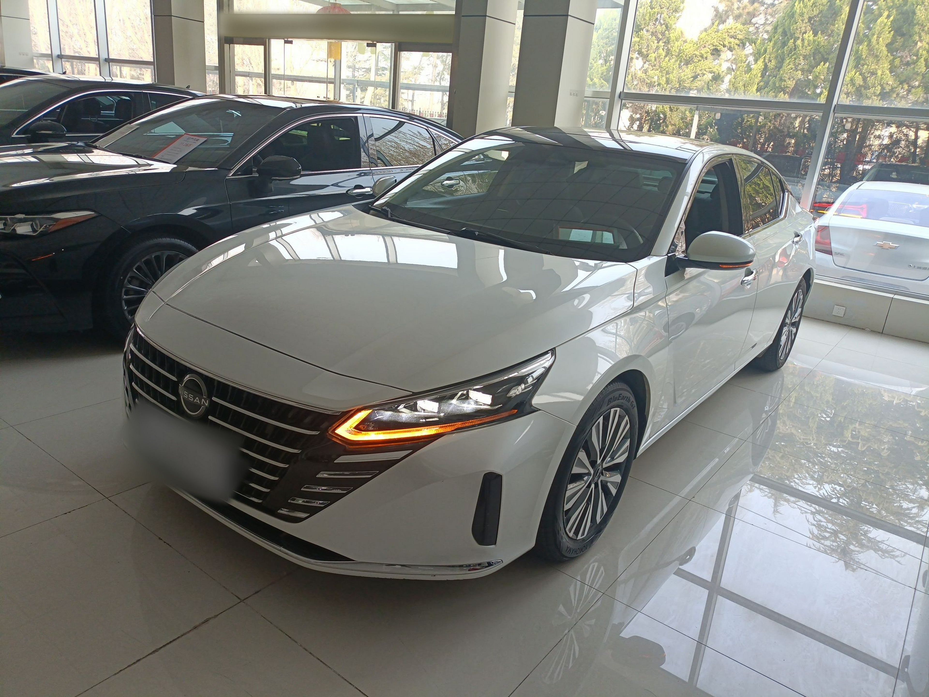 Parte inferior delantera