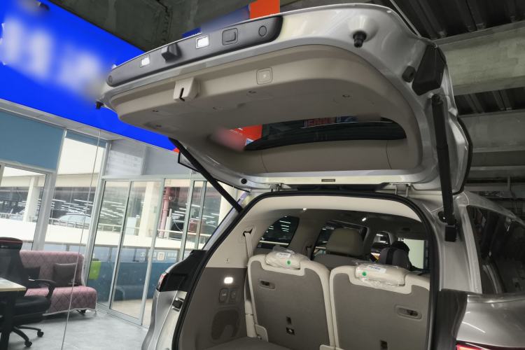 Used IM LS9 2026 Model 52 Ultra Trunk