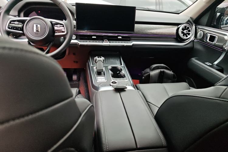 Used Tank 400 2025 2.0T Gasoline Version
