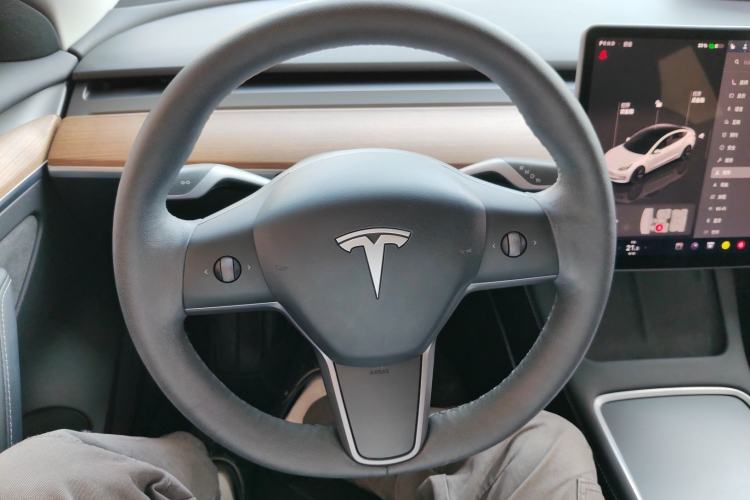 Used Tesla Model 3 2022 Rear-Wheel-Drive Version
