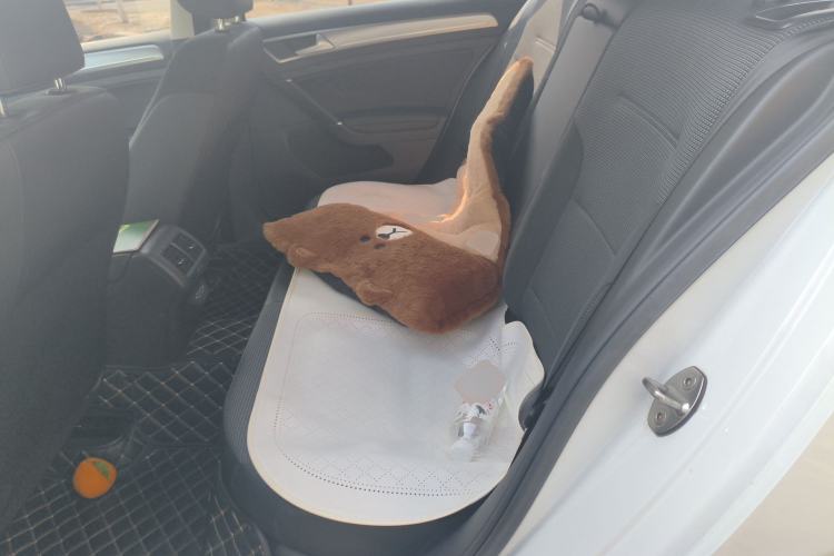 Used Volkswagen Golf 2020 Zhiai Edition 280TSI DSG Comfort Model Left Rear Seat