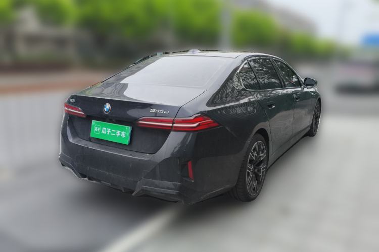 Used BMW 5 Series 2024 530Li Luxury Edition M Sport Package Exterior 5