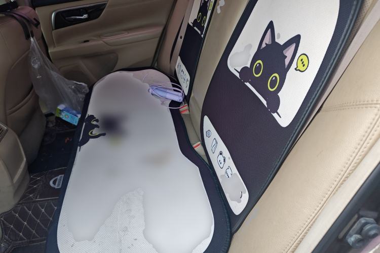 Used Nissan Teana 2013 2.0L XL Comfort Edition
