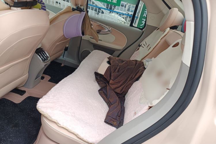 Used ORA Ballet Cat 2022 401 km Nutcracker Edition