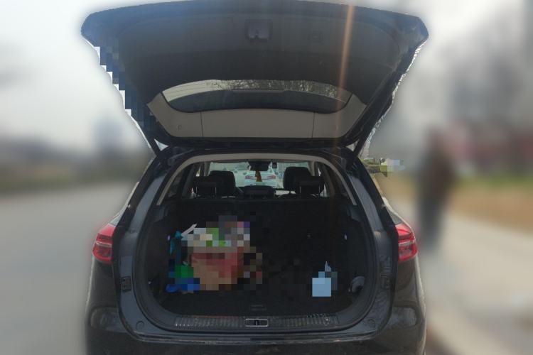 Used Hongqi HS5 2019 2.0T Smart Connect Flagship Edition
