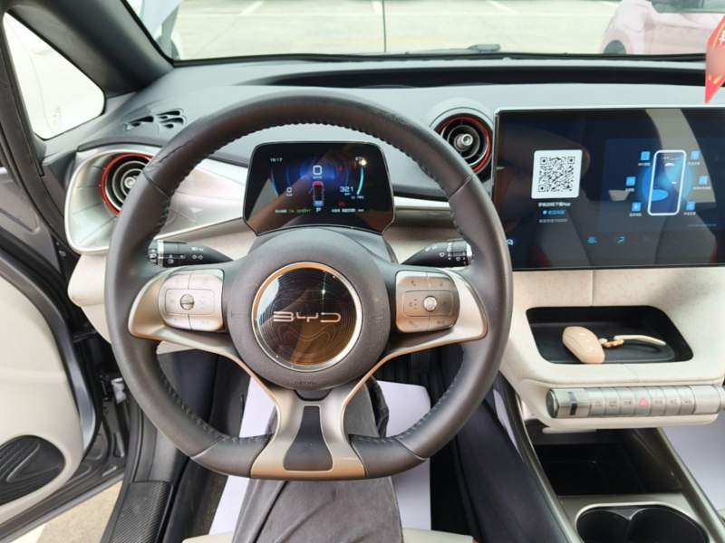 Used BYD Dolphin 2021 405 km Fashion Edition — 10