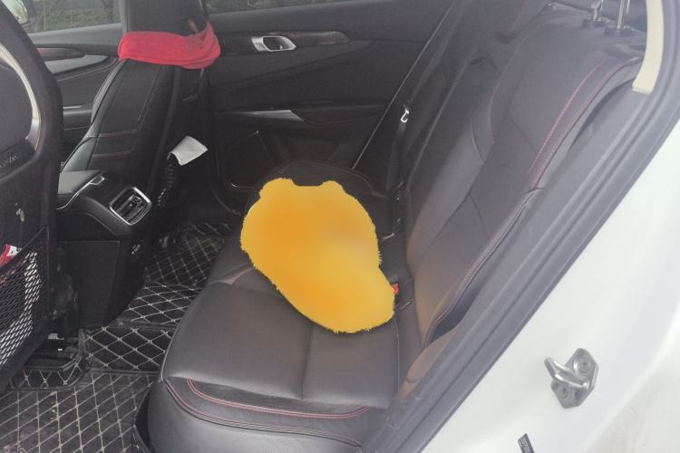 Used Lynk & Co 01 2017 2.0T Four-Wheel Drive Pro Edition Left Rear Seat