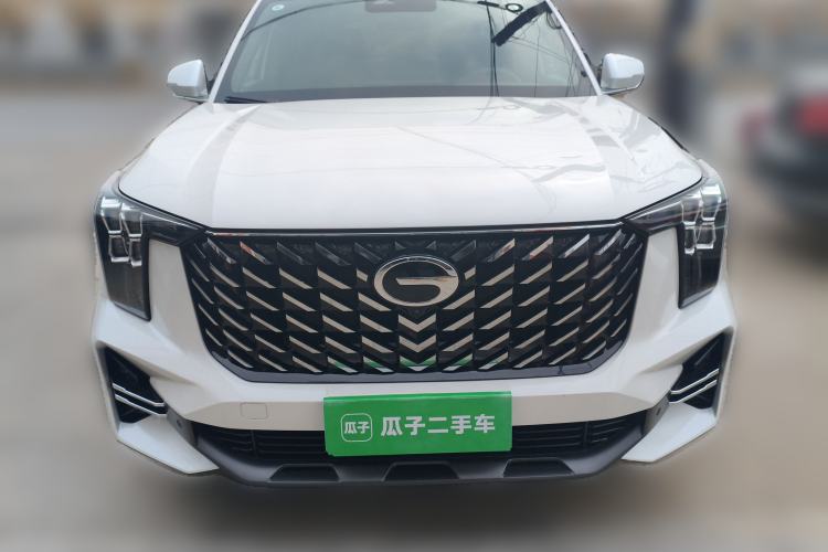 Used GAC Trumpchi GS8 2025 Linghang Series 2.0 TGDI Two-Wheel-Drive Luxury Edition 5 Seats
