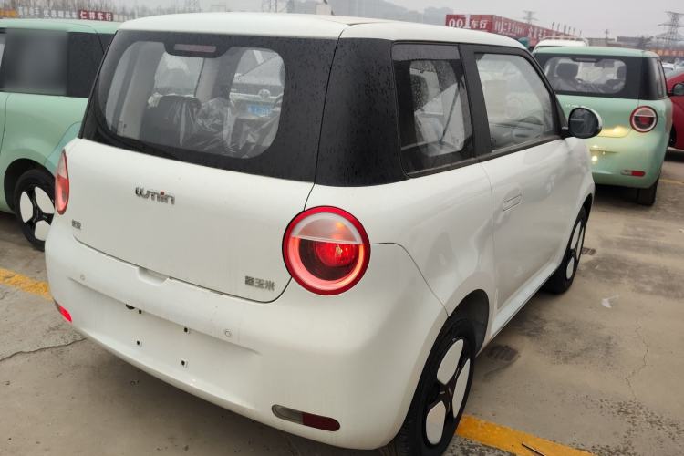 Used Qiyuan Lumin 2023 301km Honey Dew Edition
