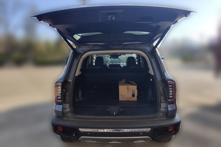 Used Haval DARGO 2021 2.0T DCT 4x4 Chinese Rural Dog Edition