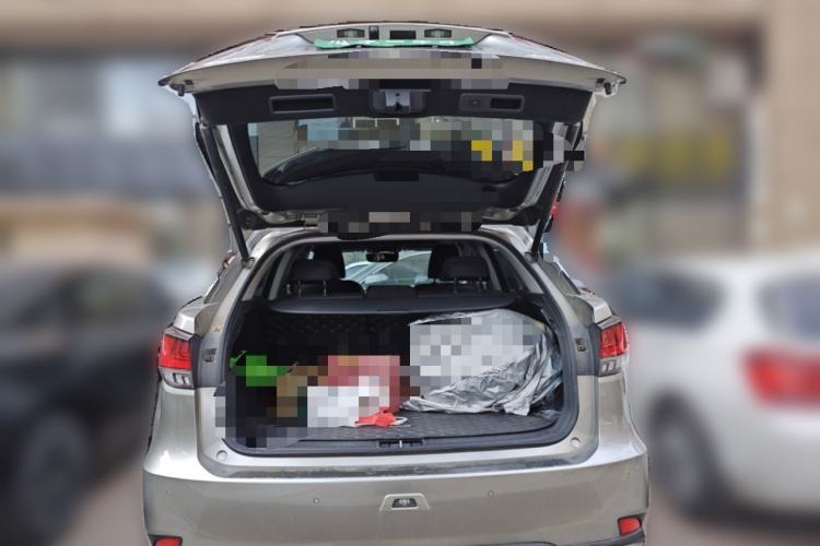 Used Lexus RX 2020 Revised Version 300 Two-Wheel Drive Elite Edition
