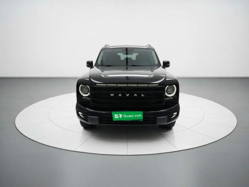 Used Haval H9 2024 2.0T Gasoline 4×4 Territory Edition — 2