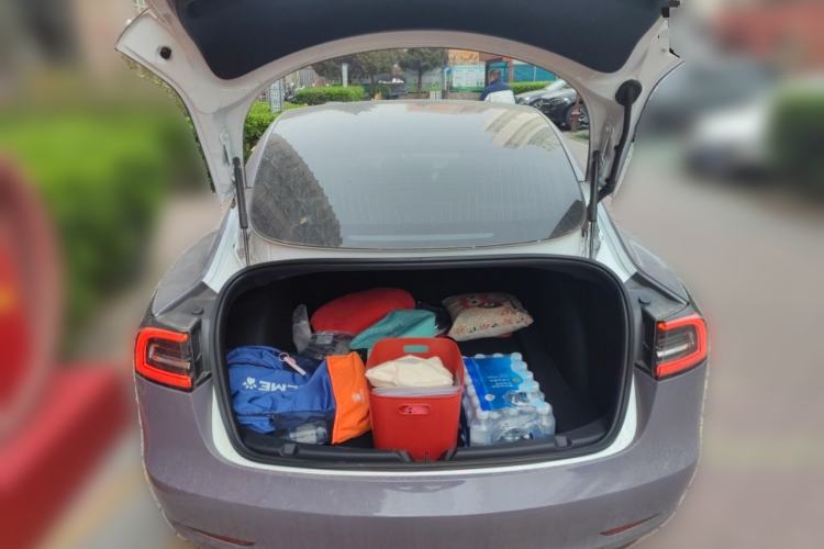 Used Tesla Model 3 2019 Standard Range Rear-Drive Upgraded Version