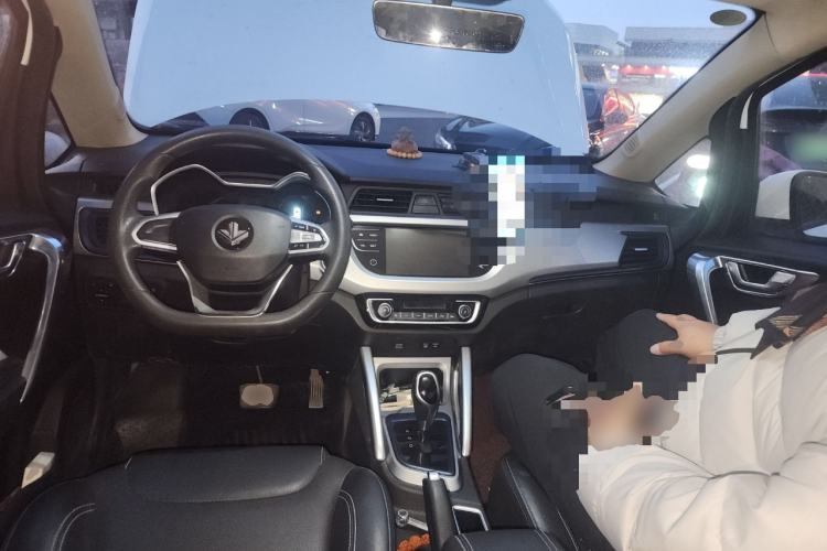 Used Livan Maple 30X 2020 Travel Edition
