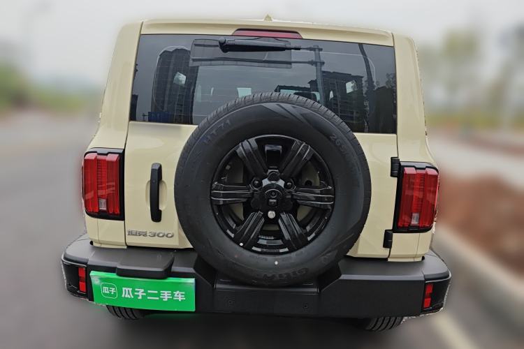 Used Tank 300 2025 2.0T Conqueror
