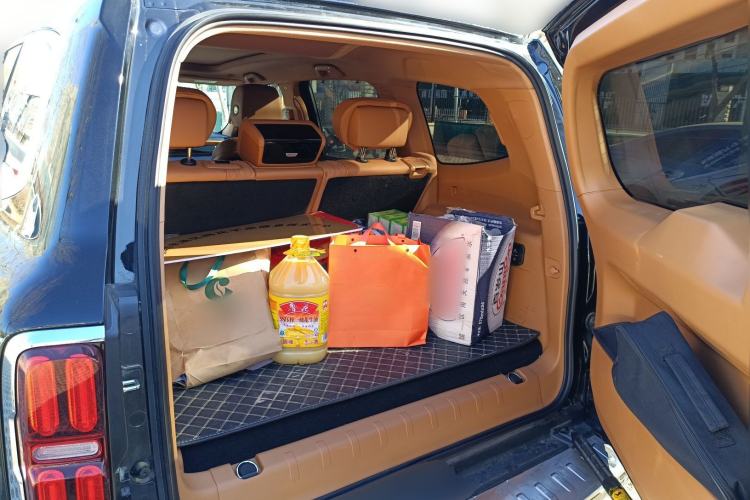 Used Tank 500 New Energy 2024 Hi4-T