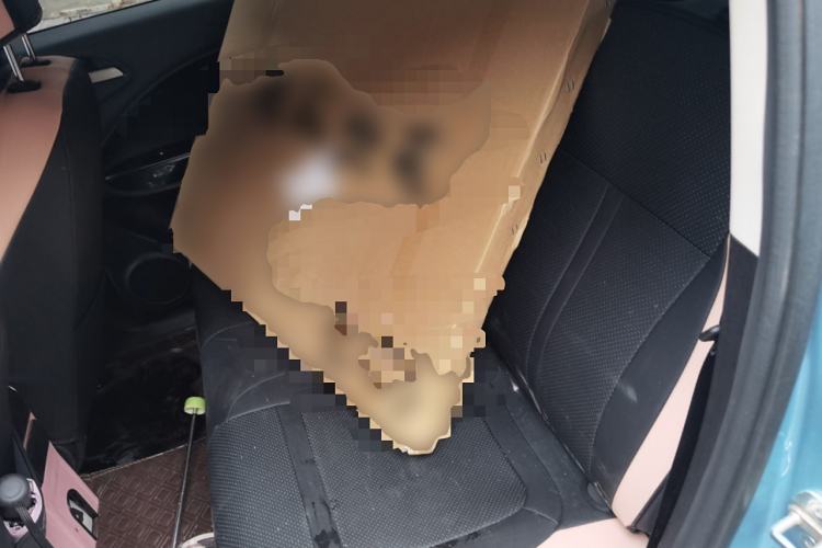 Used ORA White Cat 2020 305 km Luxury Version
