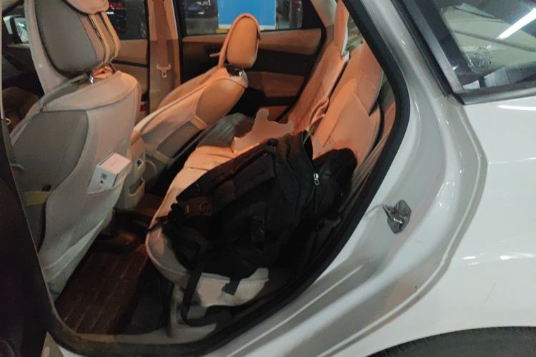 Used Ford Focus 2017 Sedan 1.6L Automatic Comfort Plus SmartDrive Edition Left Rear Seat