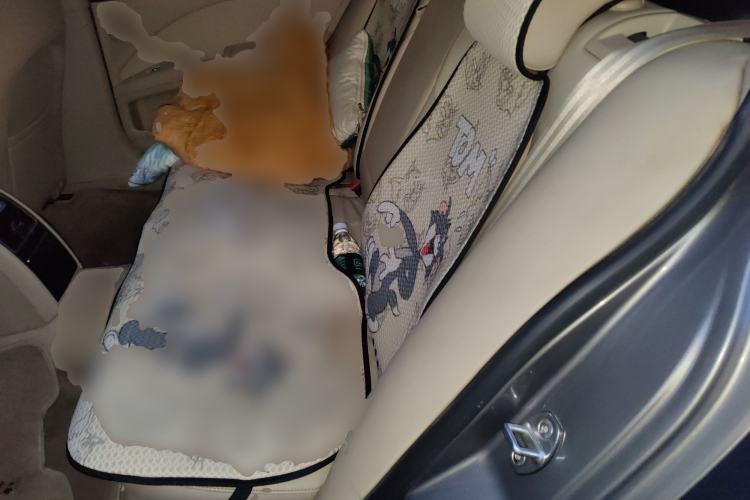 Used Skoda Superb 2009 2.0 TSI Automatic Prestige Edition