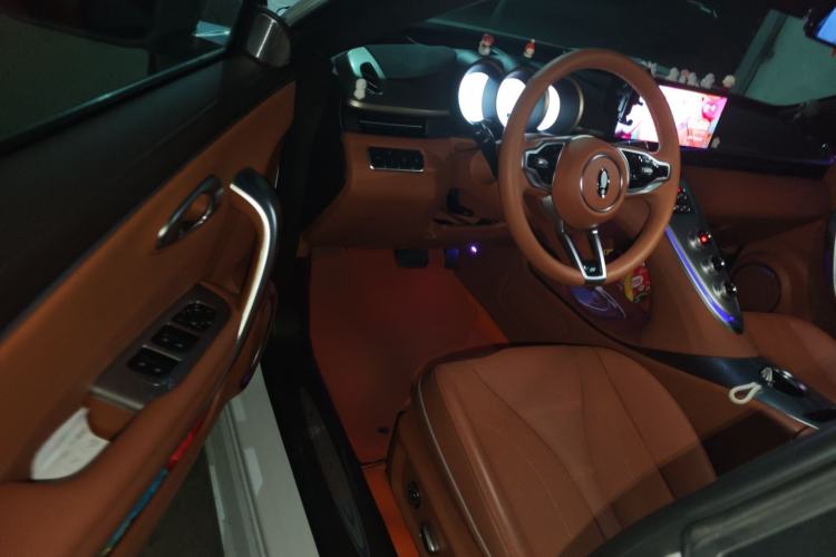 Used ORA Lightning Cat 2022 555 km Luxury Edition