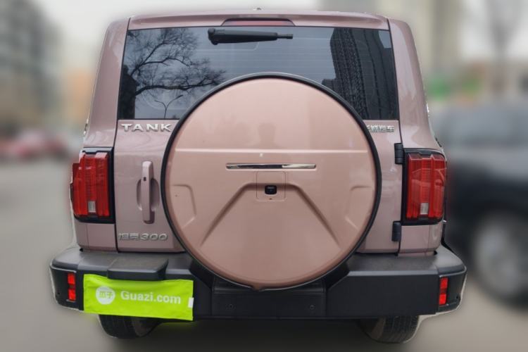 Used Tank 300 2021 City Edition 2.0T My Vision Model
