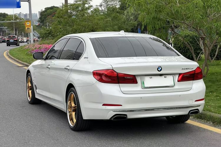 Used BMW 5 Series New Energy 2019 530Le Luxury Package Exterior 6