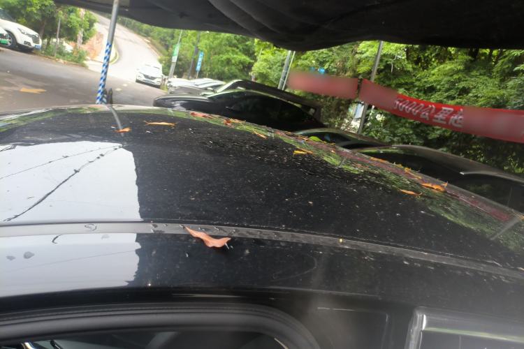 Used Hongqi E-QM5 2023 620km PLUS