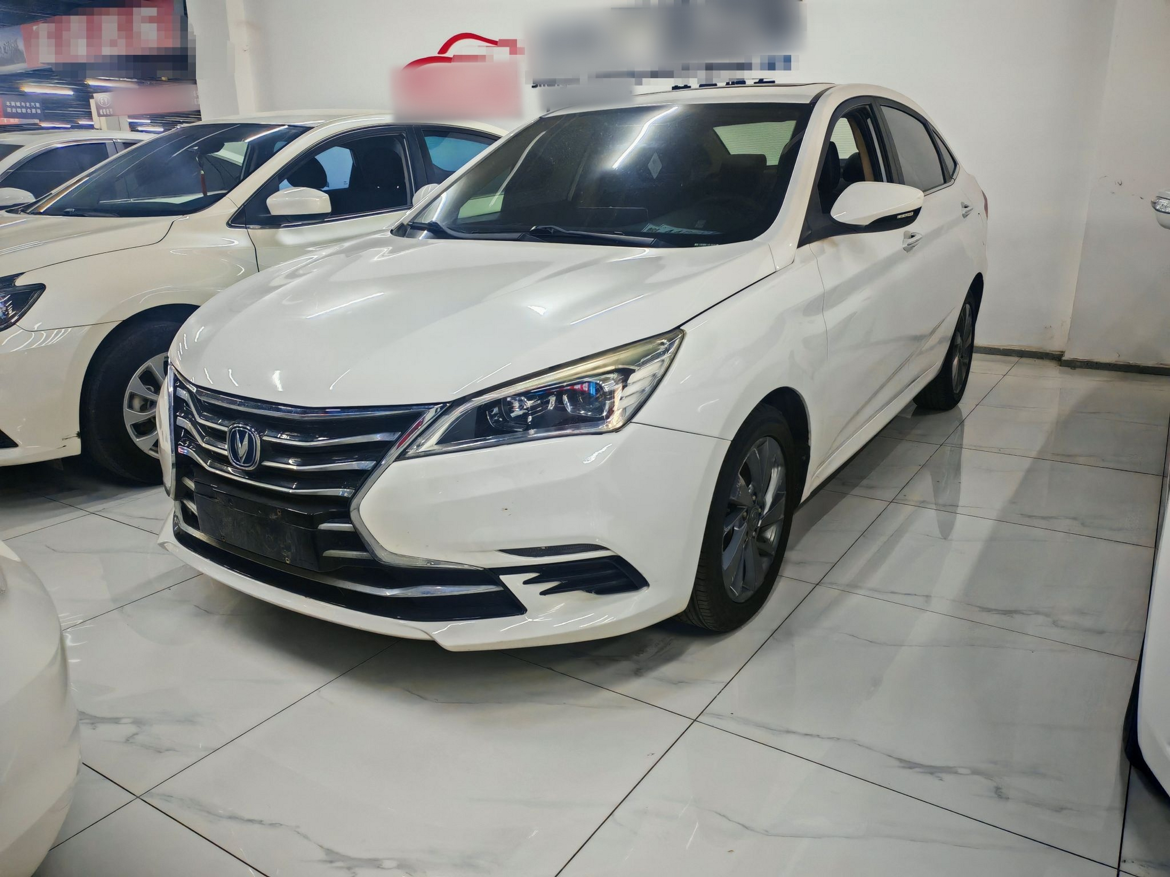 Under Front Bumper