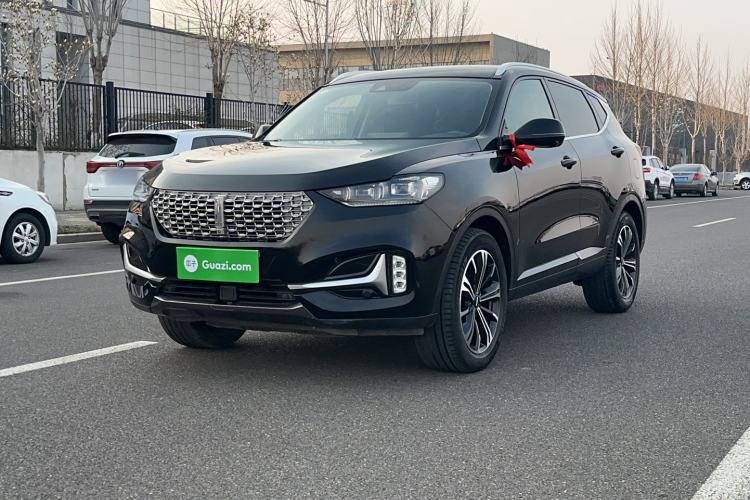 Used Wey VV6 2021 2.0T Two-Wheel Drive Smart Protection+