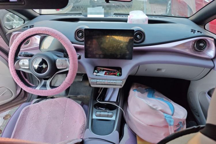 Used BYD Dolphin 2023 420 km Free Version Center Console