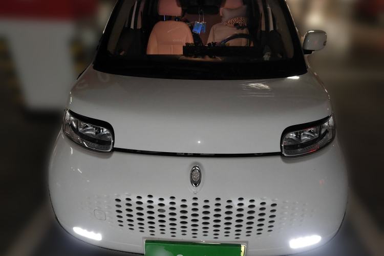 Used ORA White Cat 2020 360 km Luxury Version
