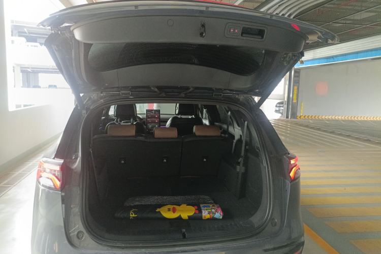 Used BYD Tang New Energy 2021 DM-i 112KM Prestige Model
