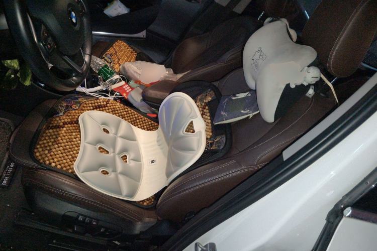 Used BMW X1 New Energy 2018 xDrive25Le Luxury Model Left Front Seat