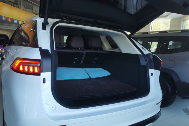 Used Chery Fengyun T10 2024 210 Luxury Edition