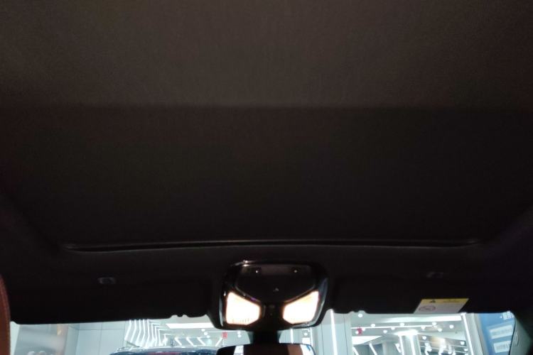 Used BMW 5 Series 2022 Second Facelift 530Li Leading Edition M Sport Package Headliner