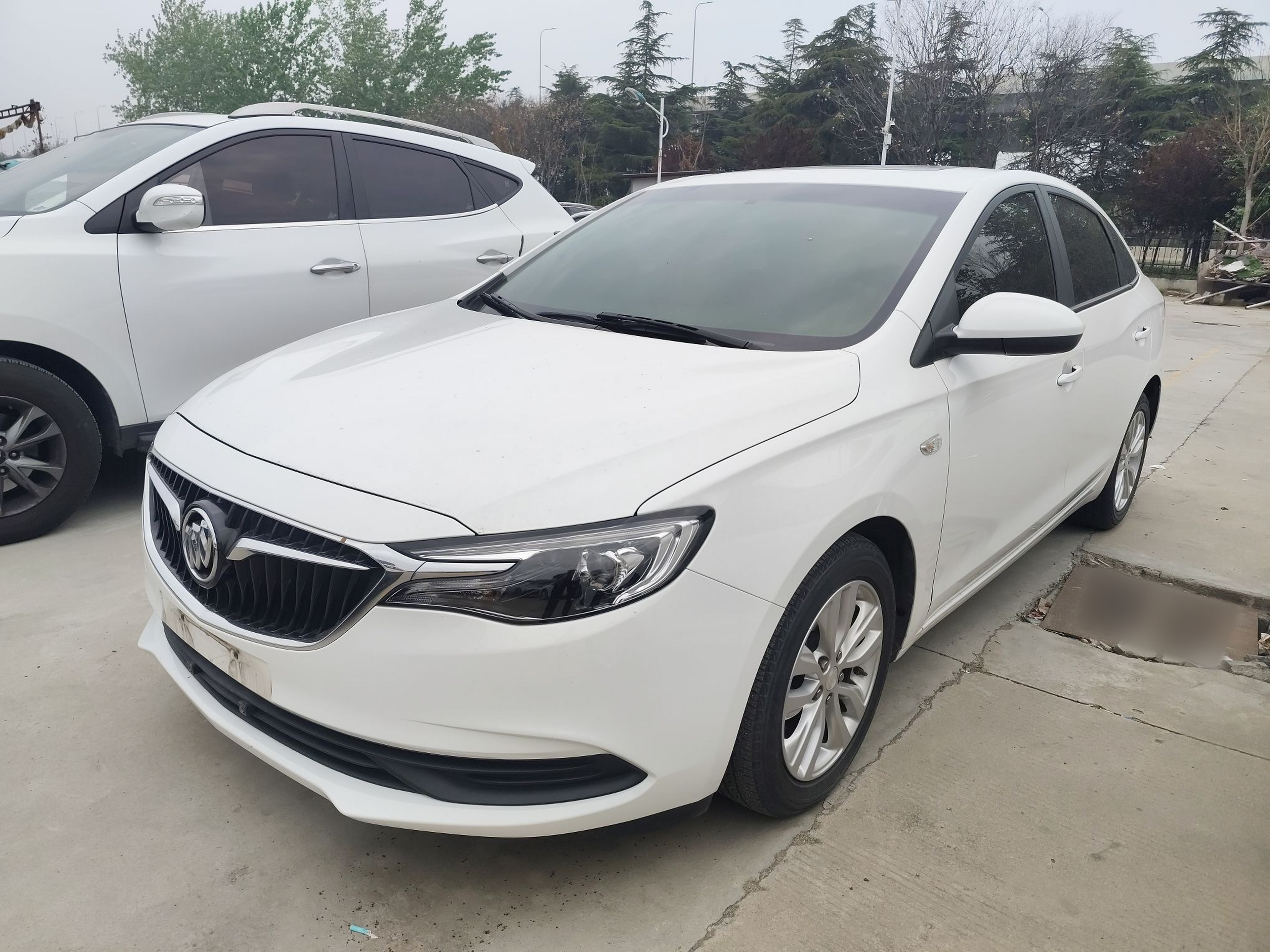 Parte inferior delantera