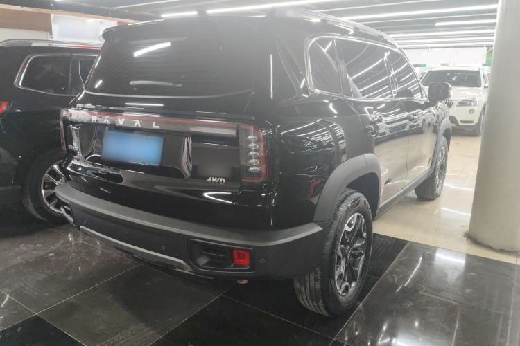 Used Haval DARGO 2024 2.0T DCT Chinese Rural Dog Edition
