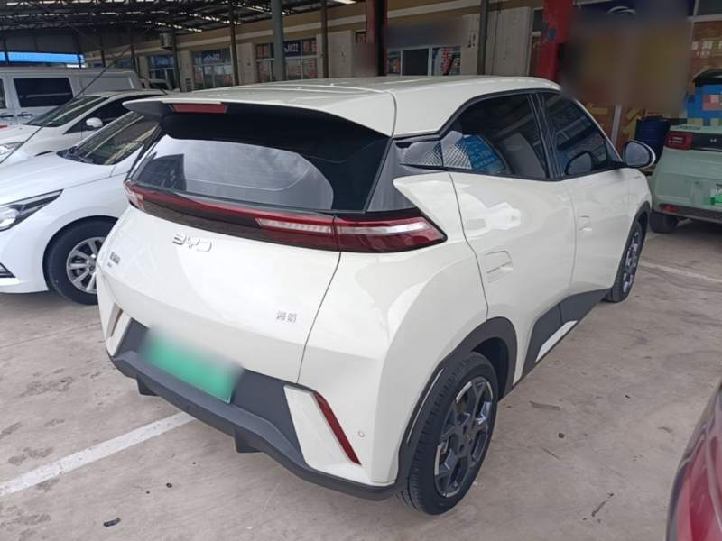 Used BYD Seagull 2025 305 km Free Version — 6