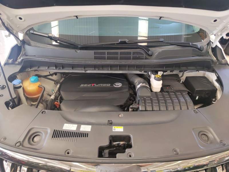 Used GAC Trumpchi M8 2021 Master Series 390T Prestige Edition — 19