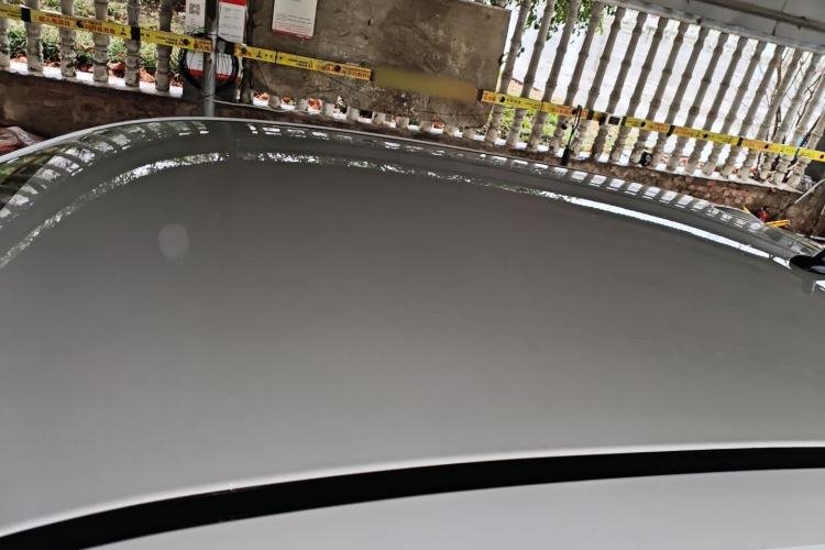 Used ORA Black Cat 2021 301 km Basic Version