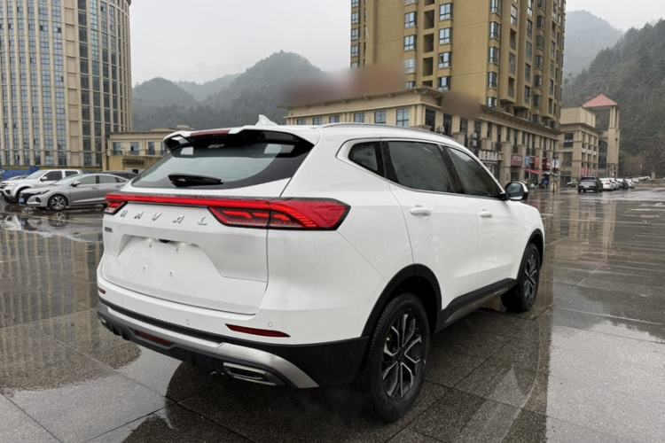 Used Haval H6 2023 National Trend Edition 1.5T Automatic Urban Version
